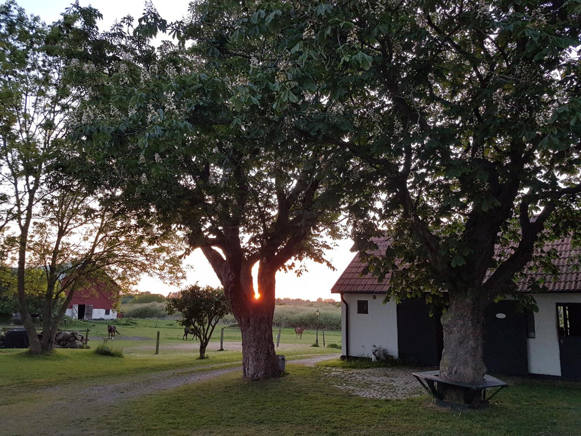 Lantligt Och Lugnt Boende Naera Natur Och Stad Svedala Exterior photo