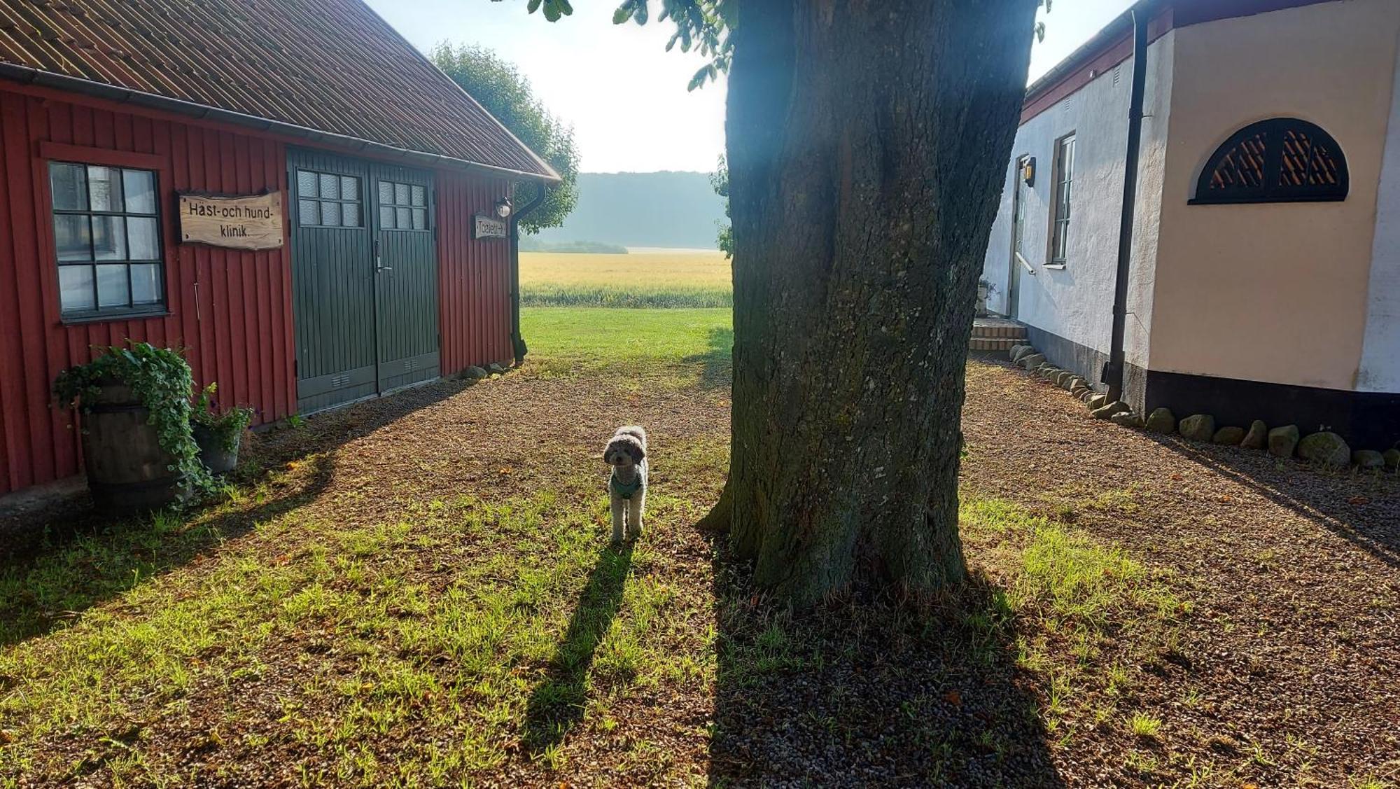 Lantligt Och Lugnt Boende Naera Natur Och Stad Svedala Exterior photo