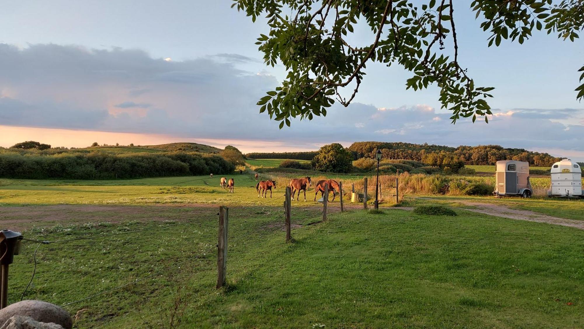 Lantligt Och Lugnt Boende Naera Natur Och Stad Svedala Exterior photo